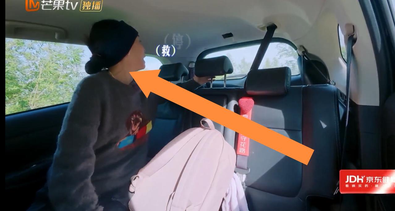 拜托张晚意下次别这样吓那英了，那英的心脏都漏跳一拍了。而马思纯却一脸淡定。