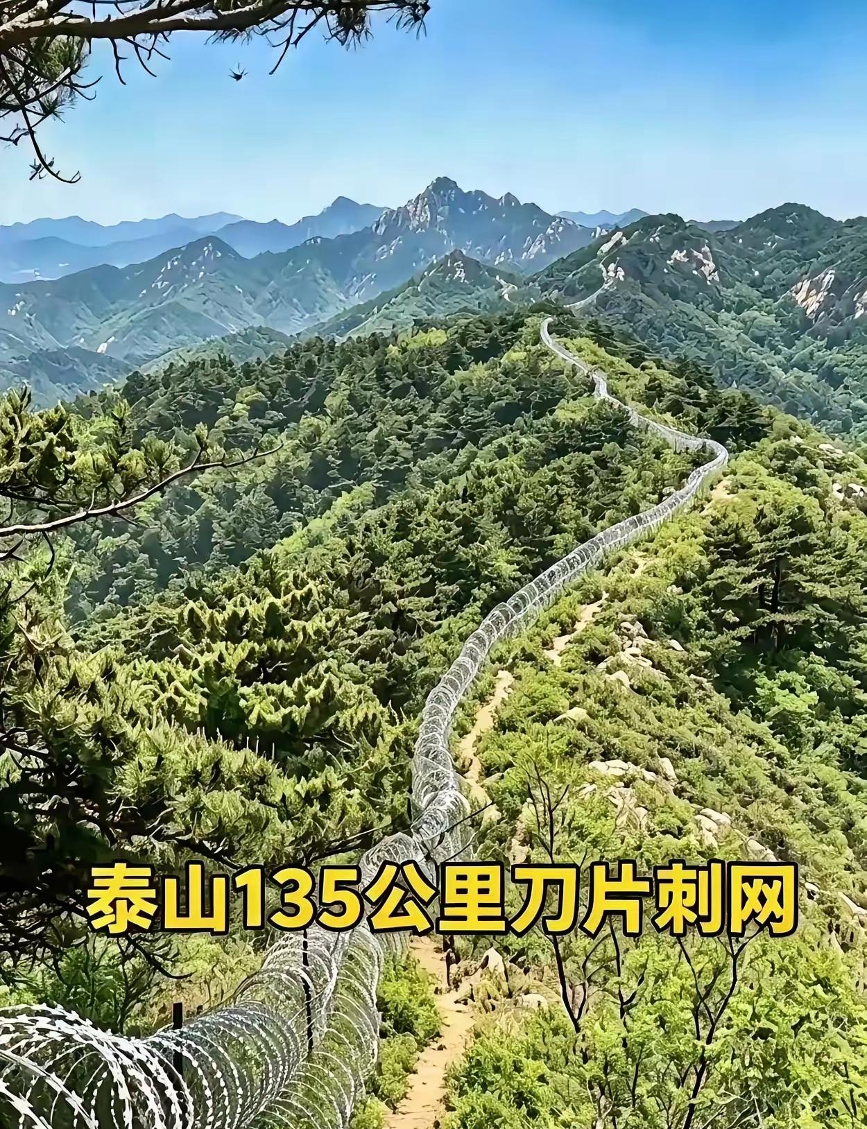 现在尴尬了！如果撤了，2千多万元白花了！如果不撤，舆情起来了！这种隔离网是最有杀