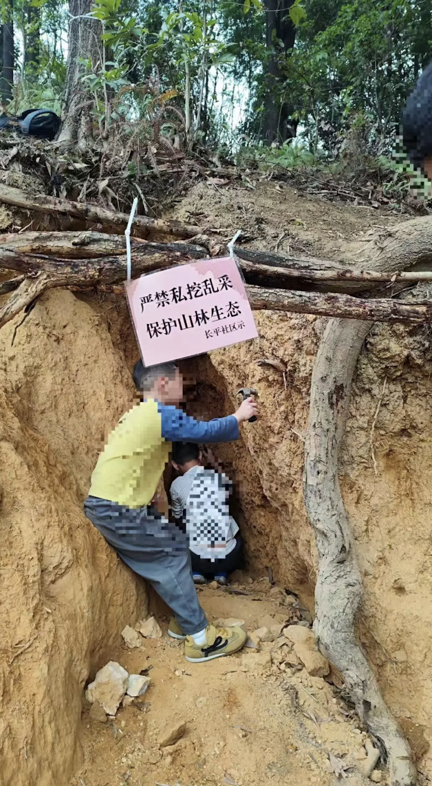 #广州暹岗大山遭非法淘晶破坏#【违法“淘晶热”破坏暹岗大山！记者直击现场，广州黄
