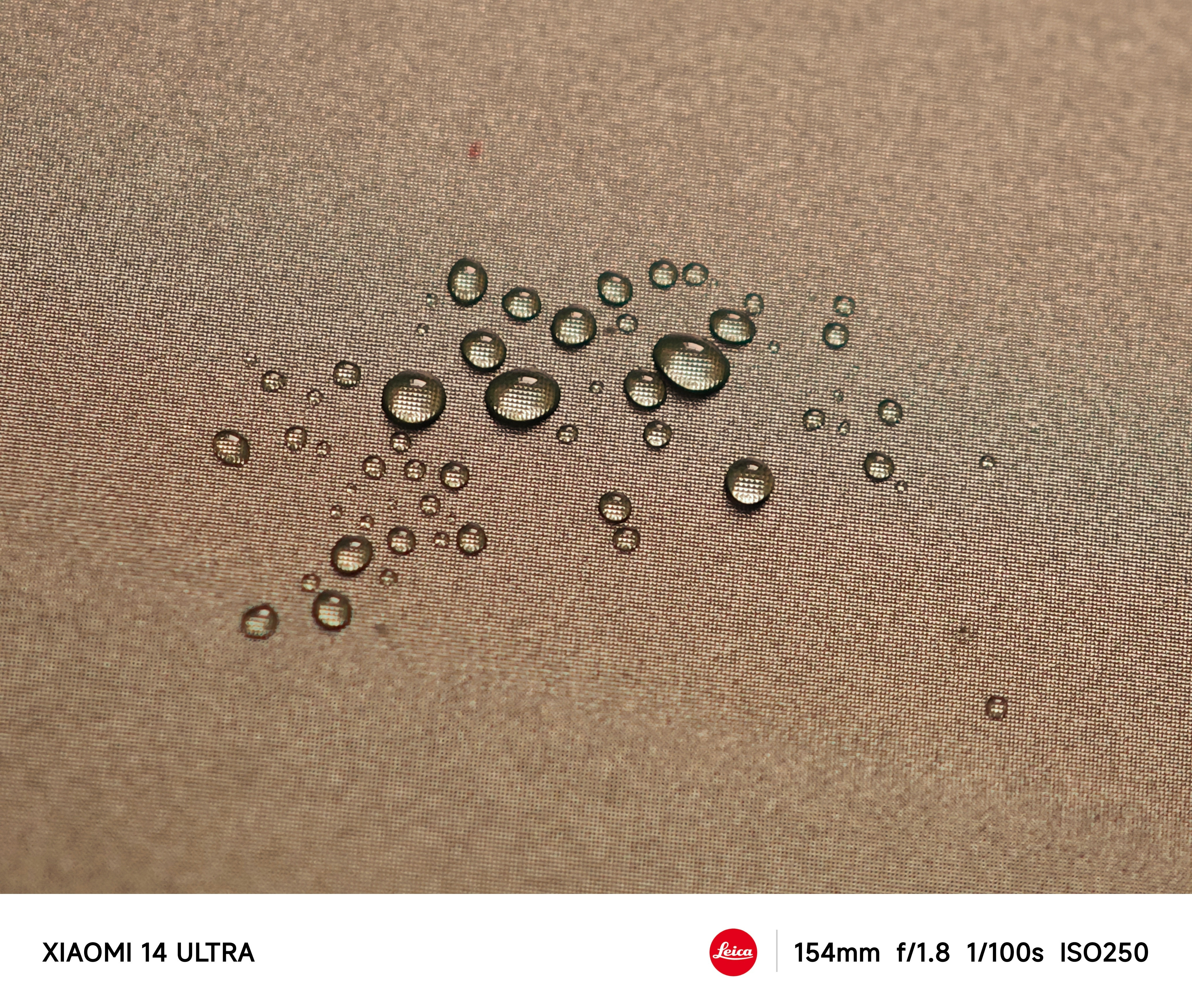 微距摄影晚安💤