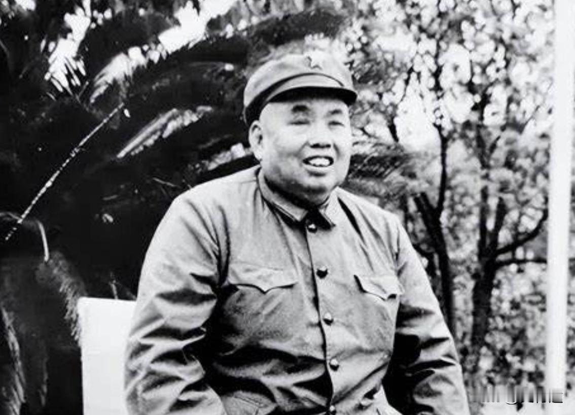 1985年许世友逝世，王震乘坐专机火速抵达南京，并在会议上警告老将们：许世友可是