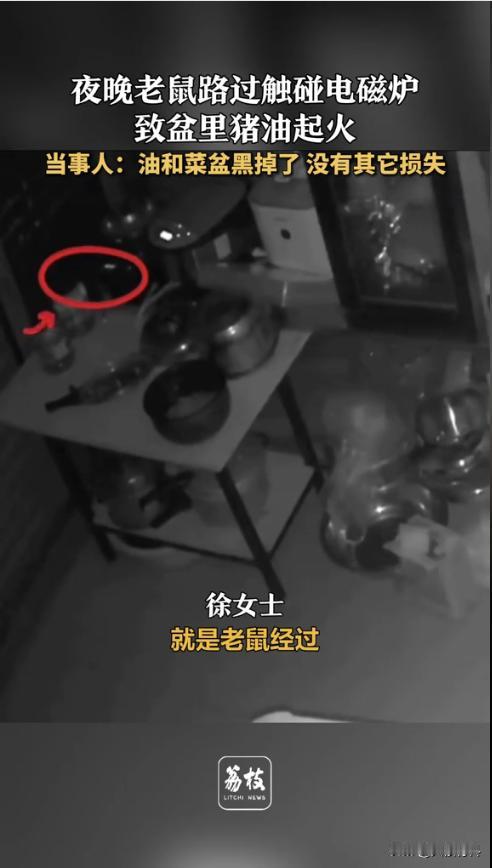 “悲剧还是发生了！”近日，一女子在家炼好猪油后就直接放在电磁炉上，想着第二天再用