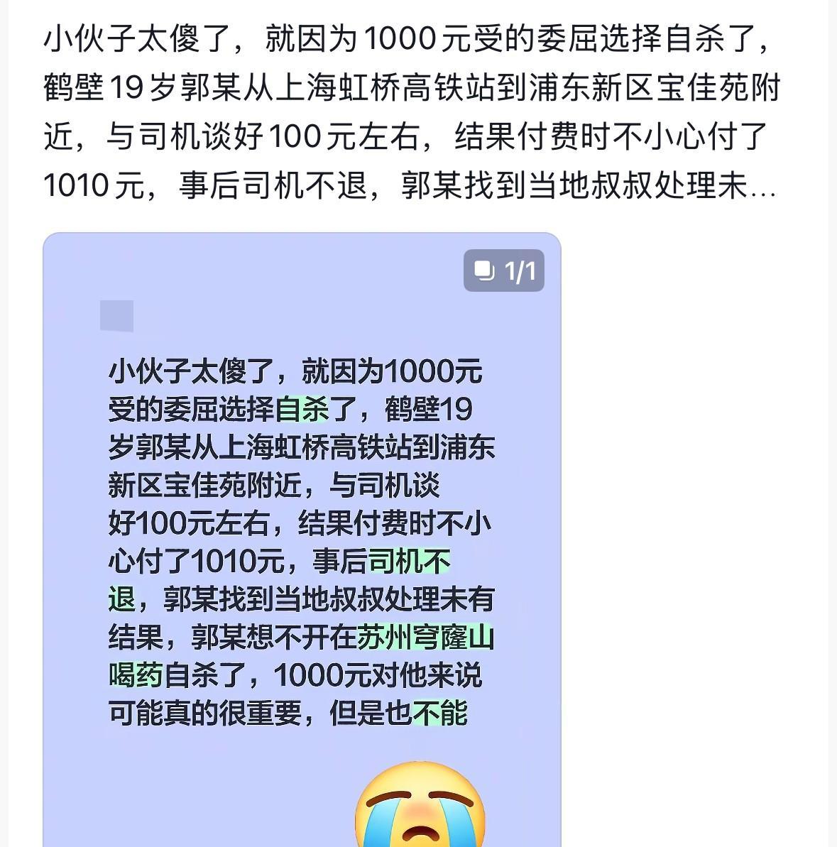 无比悲痛！河南19岁男孩将100元车费错付成1010元后，竟然选择了自杀！[流泪