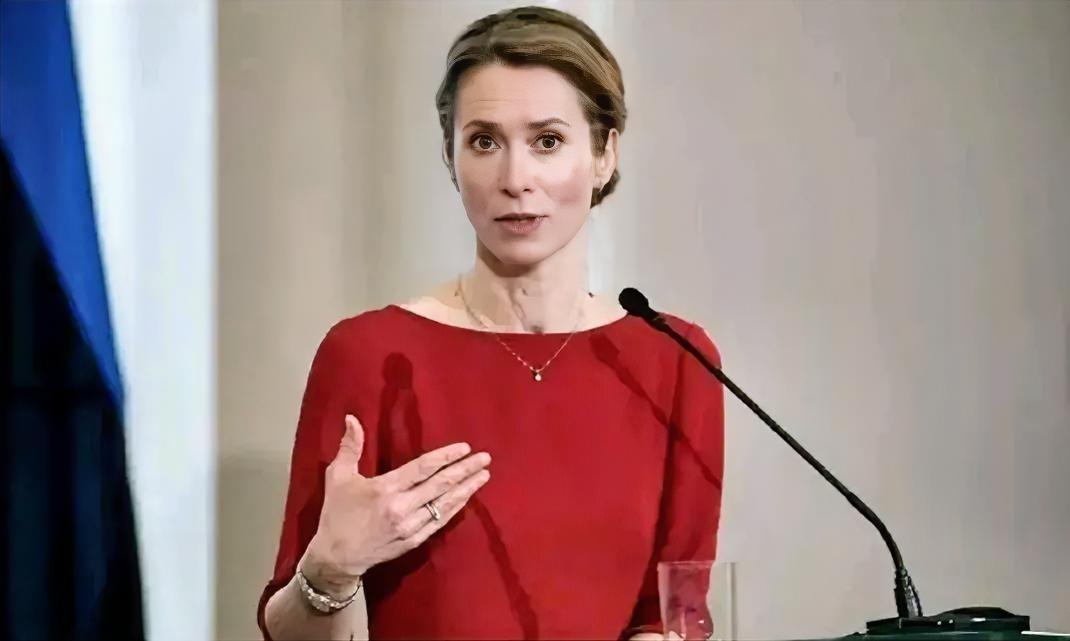 据塔斯社消息，当地时间7日，欧盟外交与安全事务高级代表卡娅·卡拉斯宣称，鉴于俄罗