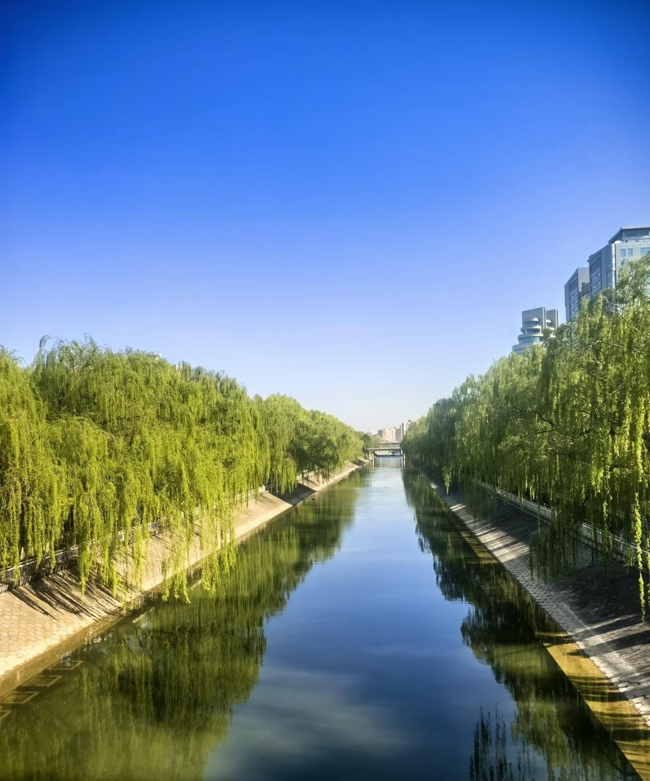 60岁后，锻炼身体还有用么，说实话，作用已经不大了，何以见得呢。60岁，已经算