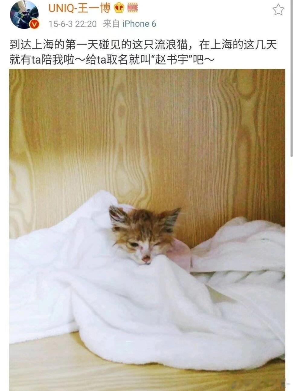 王一博早期在上海捡到一只小猫给他取名赵书宇一整个心软软🥺🤲🏻