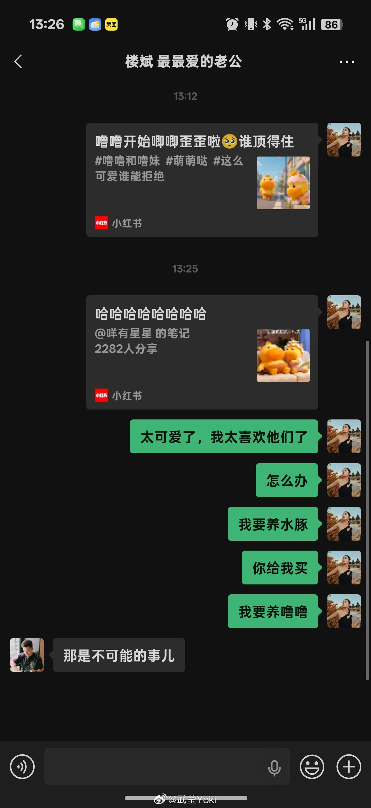 啥也不让我养😡😡😡这个家到底谁说的算！！！​​​