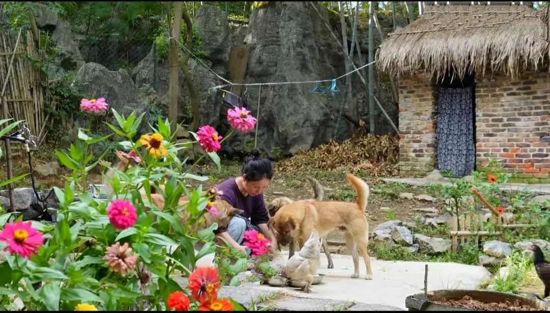 浮生若梦，山居无悔！山居七载，常常会在静下心来时，突然生出浮生若梦的怅然。