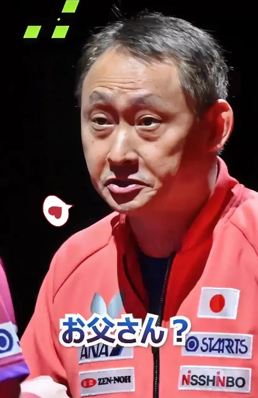 有句话我不吐不快，说出来大家别骂我，我感觉，张本智和的爸爸张本宇有点可怜啊。