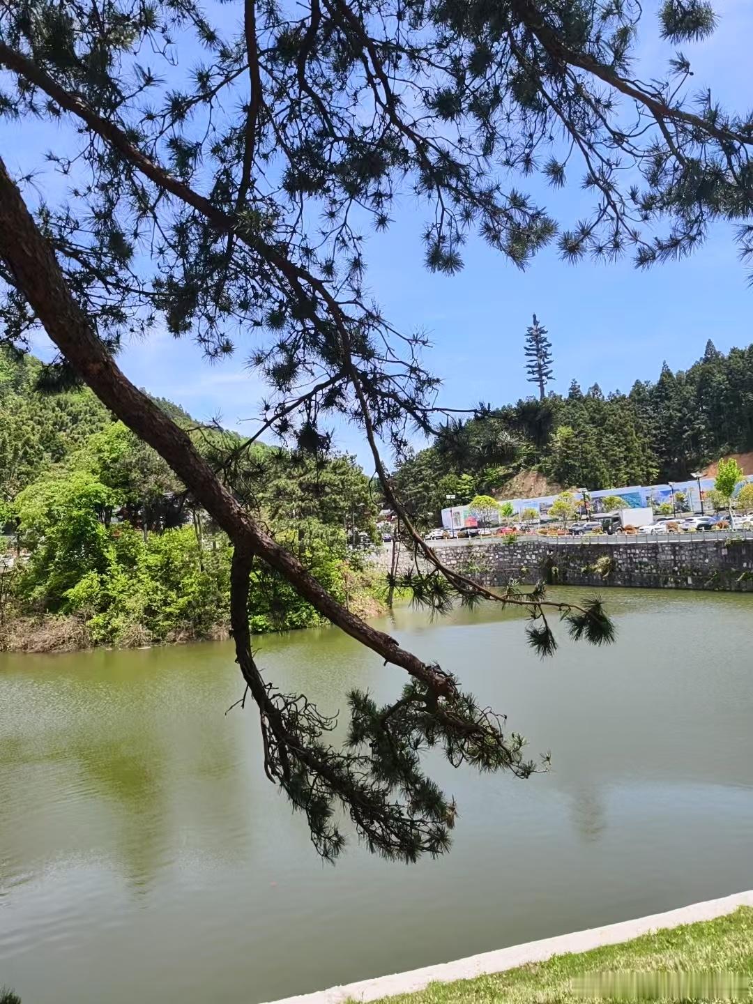 每天千篇一律的日子都已经厌倦了，偶尔去看看好风景兜兜风也是很不错的