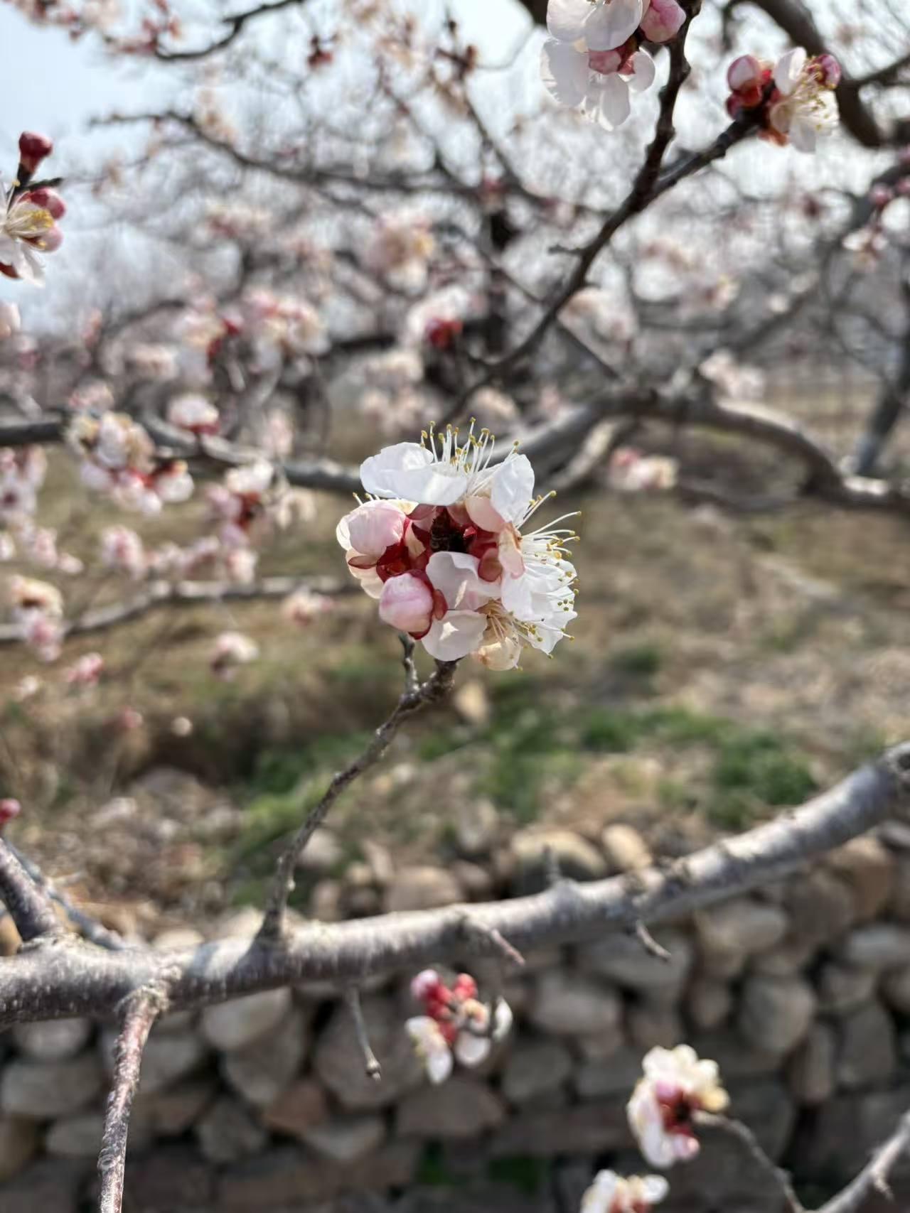 旅游你看的不仅仅是风景，旅游你看到的是不同的人生。旅游会让你重新看过去，旅游让你