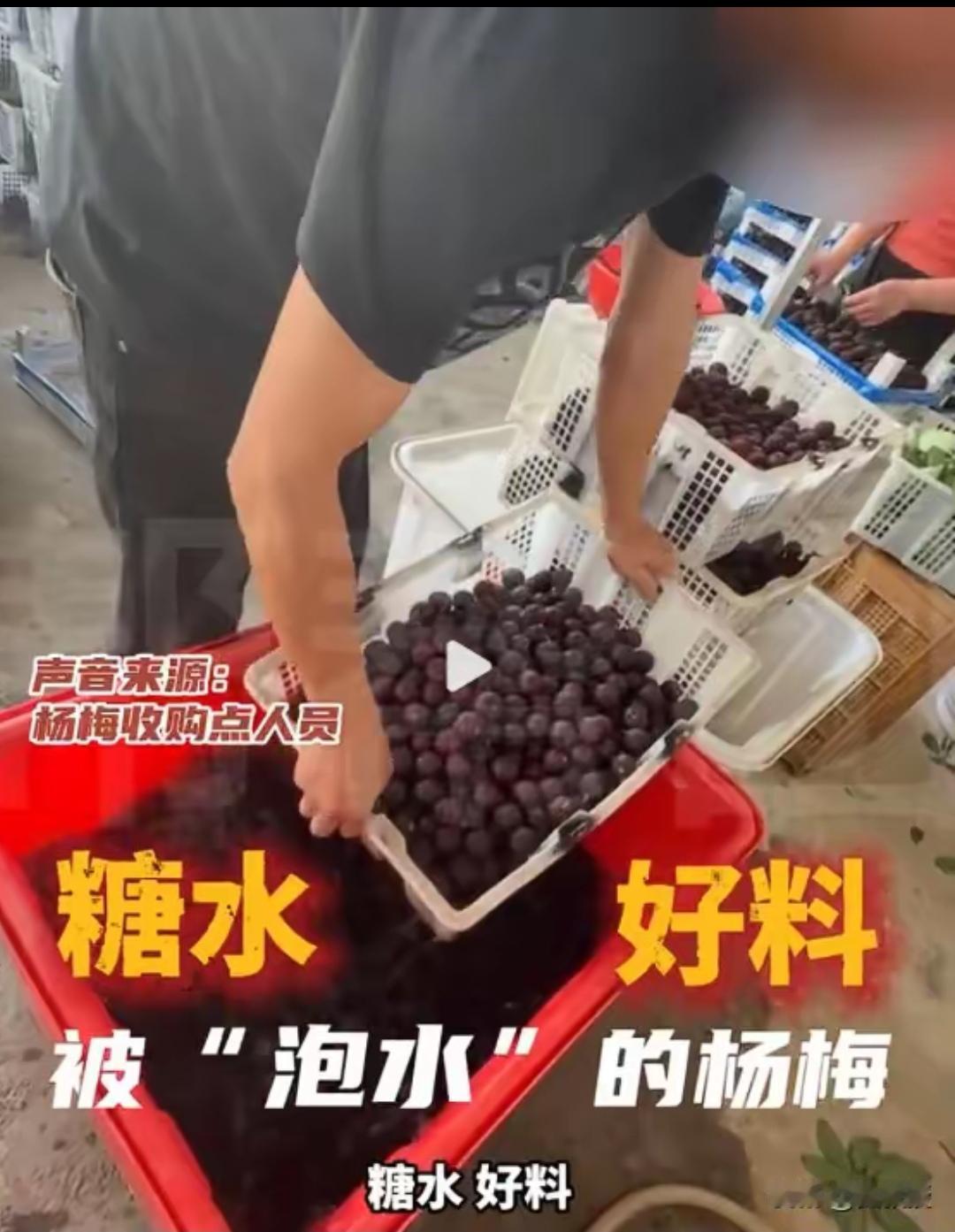 杨梅，这种水果长得鲜艳，眼下正是上市季。但是我几乎不吃。除非你自家种的树上
