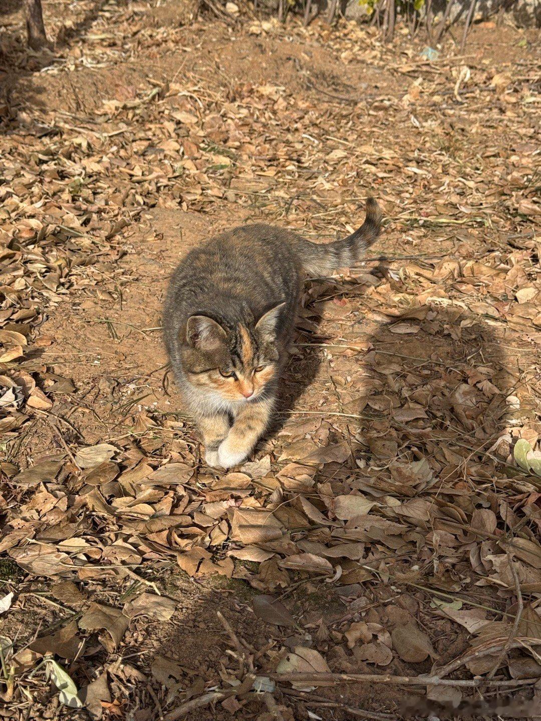 有点炸裂🤯第一次坐到二等座无座的高铁🚄旅程四个半小时高铁