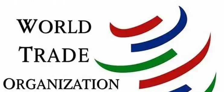 世贸判决中国胜诉欧盟败了这官司打得，真是让人捏一把汗