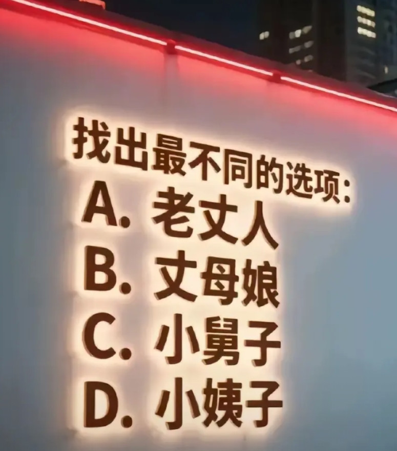 爱因斯坦来了也是选A，原因：与其他3人没有血缘关系