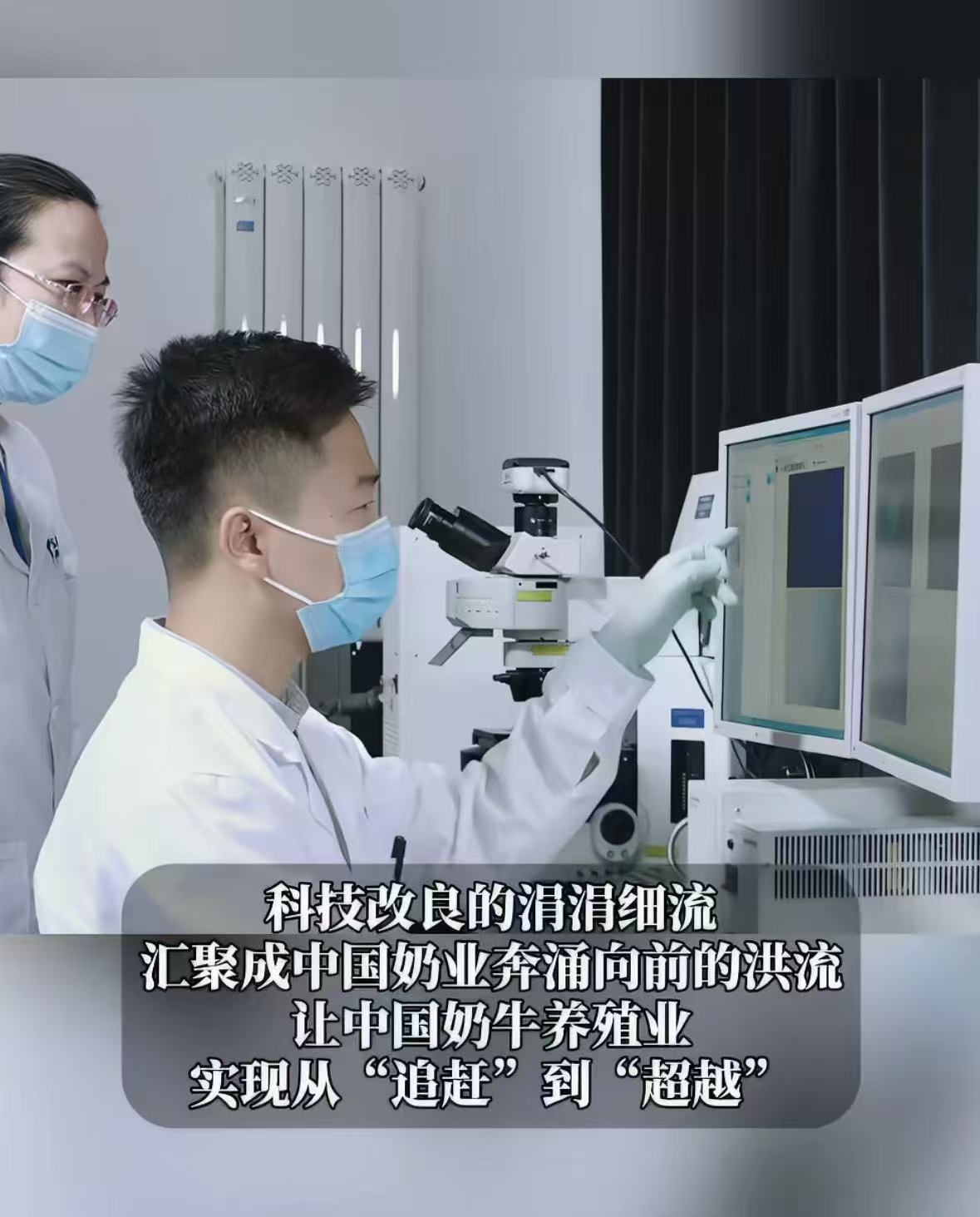 1台奶牛拌饭车能买1套房线上云养奶牛火爆出圈，悠闲吃草的奶牛治愈无数网友。这份治