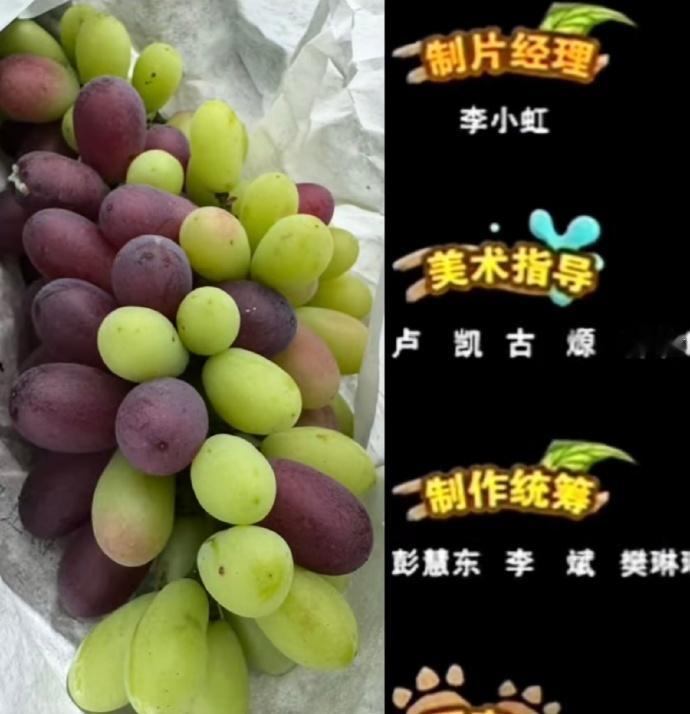 评论区没有对作者的同情，全是对上海人沪币的肯定🤣👌​​​