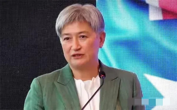 真的是太解气了！澳大利亚外长黄英贤最近在东盟外长峰会上，那可真是把“拱火”技能