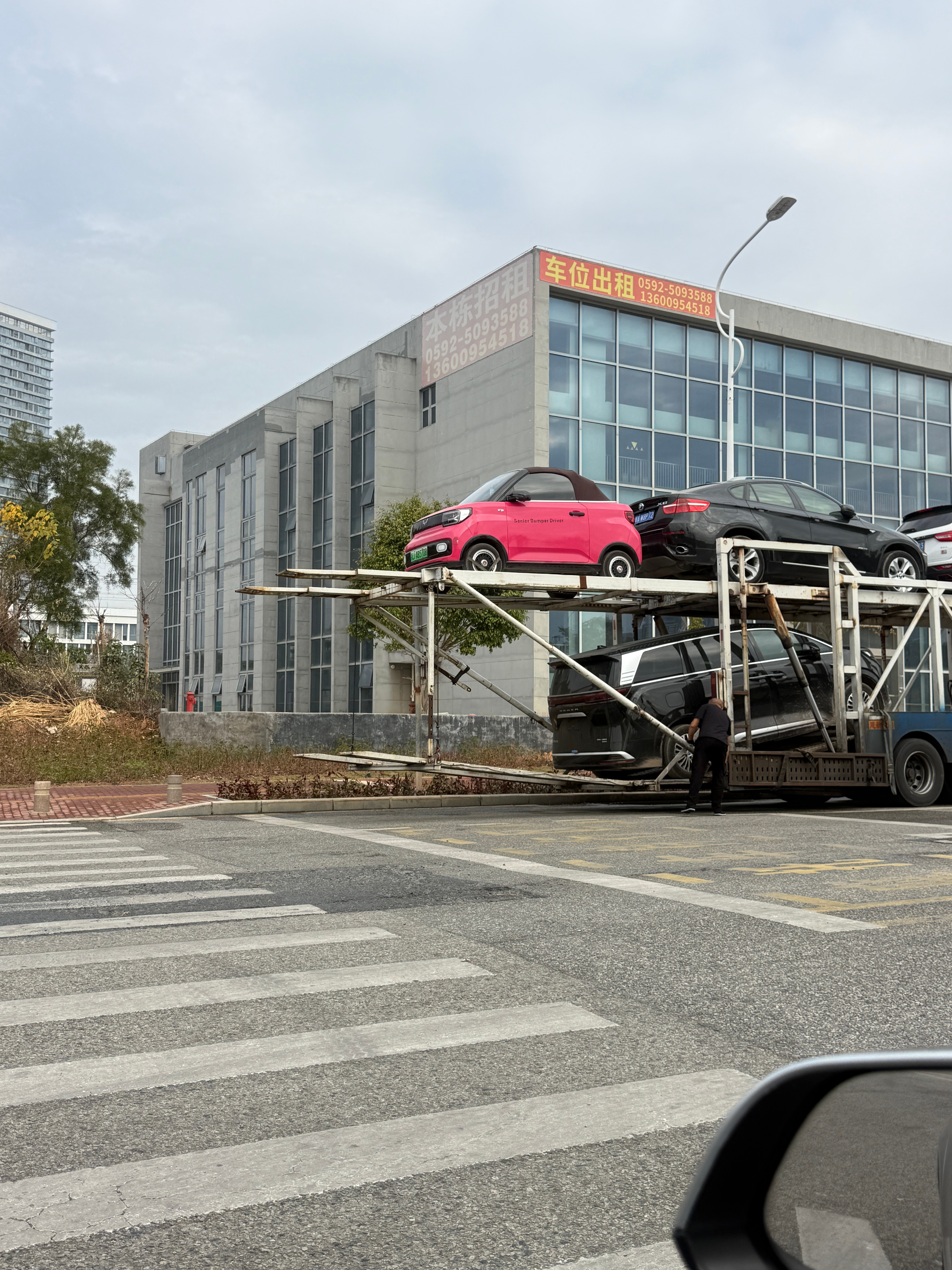 真是显眼包啊，被吊的高高的，一眼就找到了看到它还是莫名的想笑，长得真可爱厦门