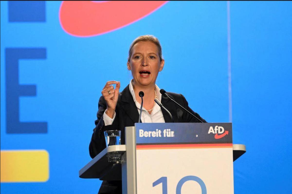 德国选择党崛起德国选择党11月29日在德国西部城市吉森举行代表大会，成立该党青