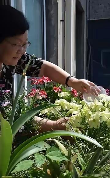 我实在理解不了我姐！我姐今年58了，每月退休工资5200，可她却把生活过成了这