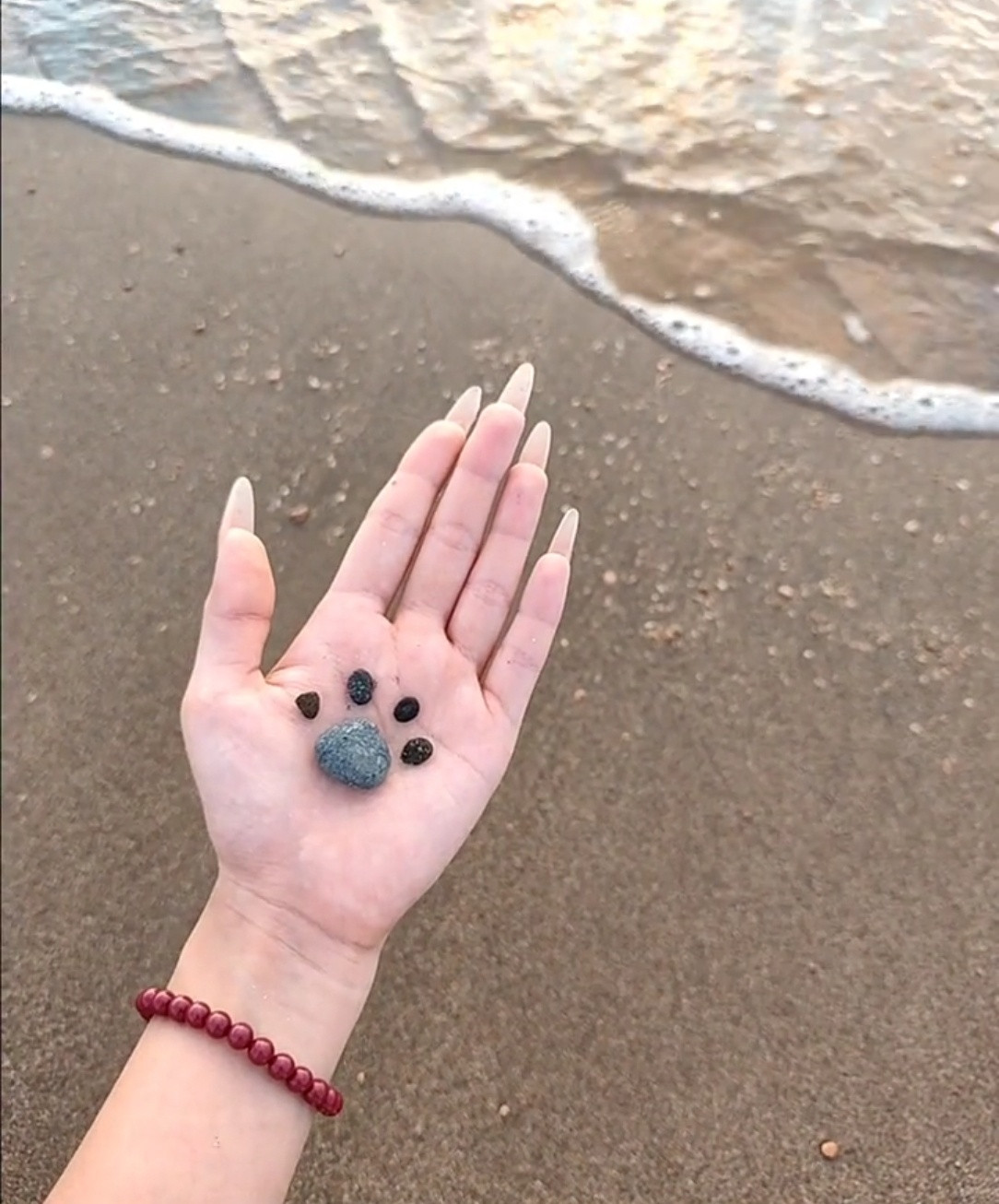 养猫人的眼里到处是猫在海边捡到的鹅卵石也能变成小猫下次一定要带小猫一起去海边🐈