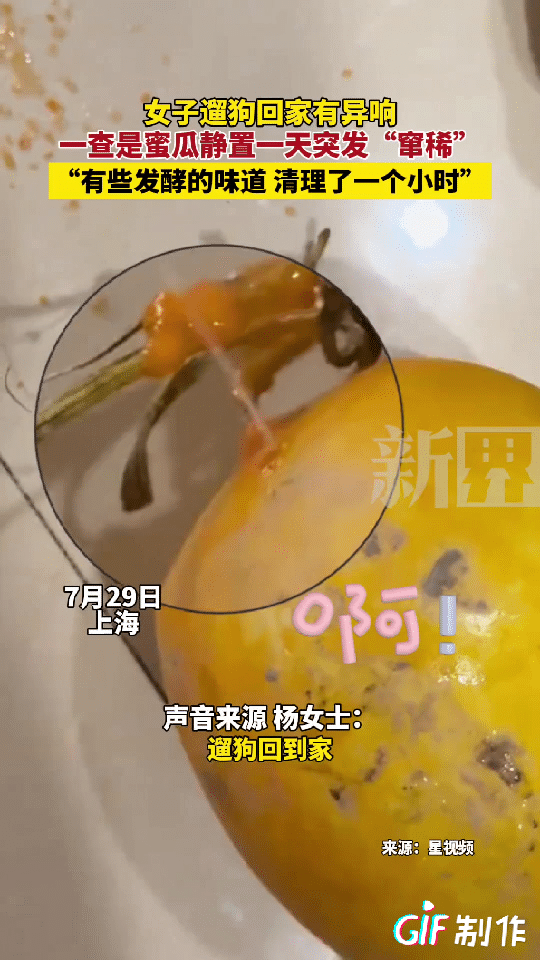 上海一女子遛狗回到家中，突然听到家里面传来噗嗤，噗嗤的声音，她环顾了一下周没有发