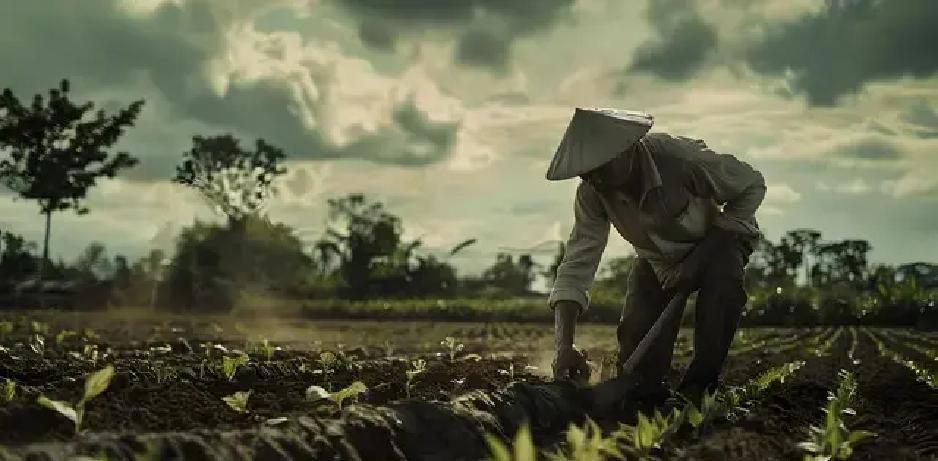 2026年3月，中国农村，养老金标准从143元跃升163元，涨20块钱，这点钱真