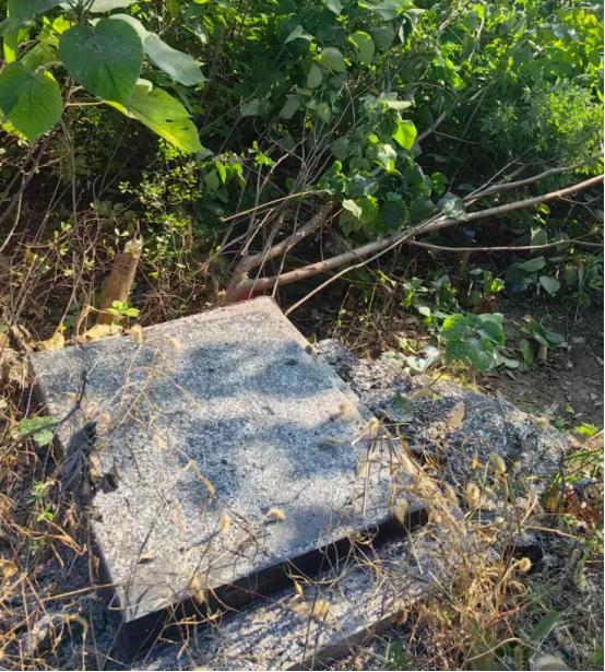 山东济南，刘先生带着堂兄弟上山扫墓，到了地方人直接懵了，家族里埋了几十年