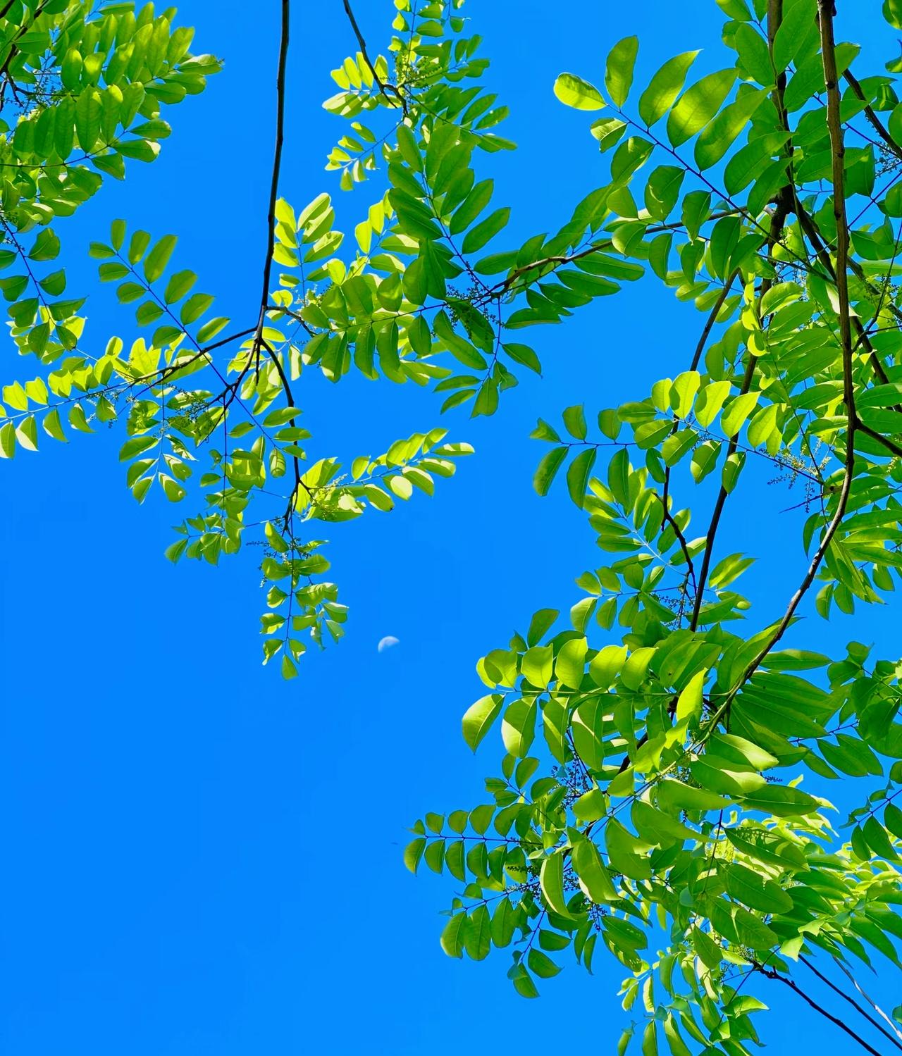 刘震云：）人是这世上最虚伪的动物，做人不必太真诚，其实大家都很虚伪。有时候​​