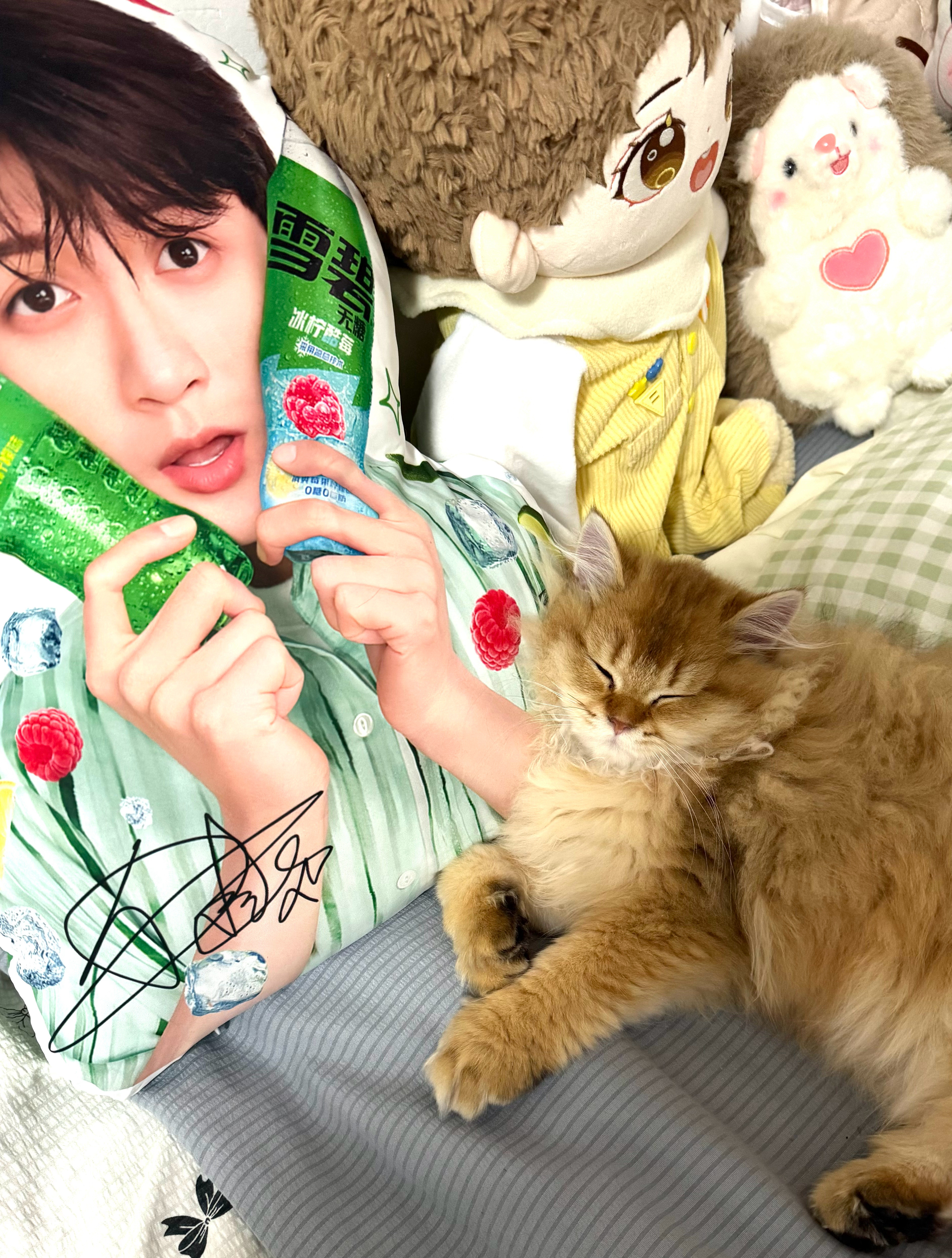 像不像猫咪抱着檀健次的胳膊啊啊啊🤣