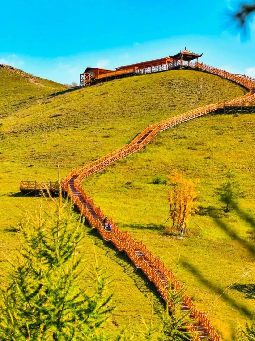 内蒙古秋游，奔赴一场乌兰布统的美景之约！