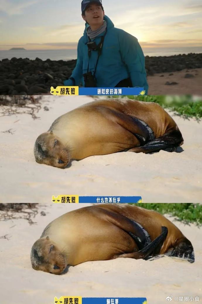 胡先煦的活人感太绝了绝了呀！胡先煦在综艺里剖析生活意义，鲜活又真实，这活人感在内