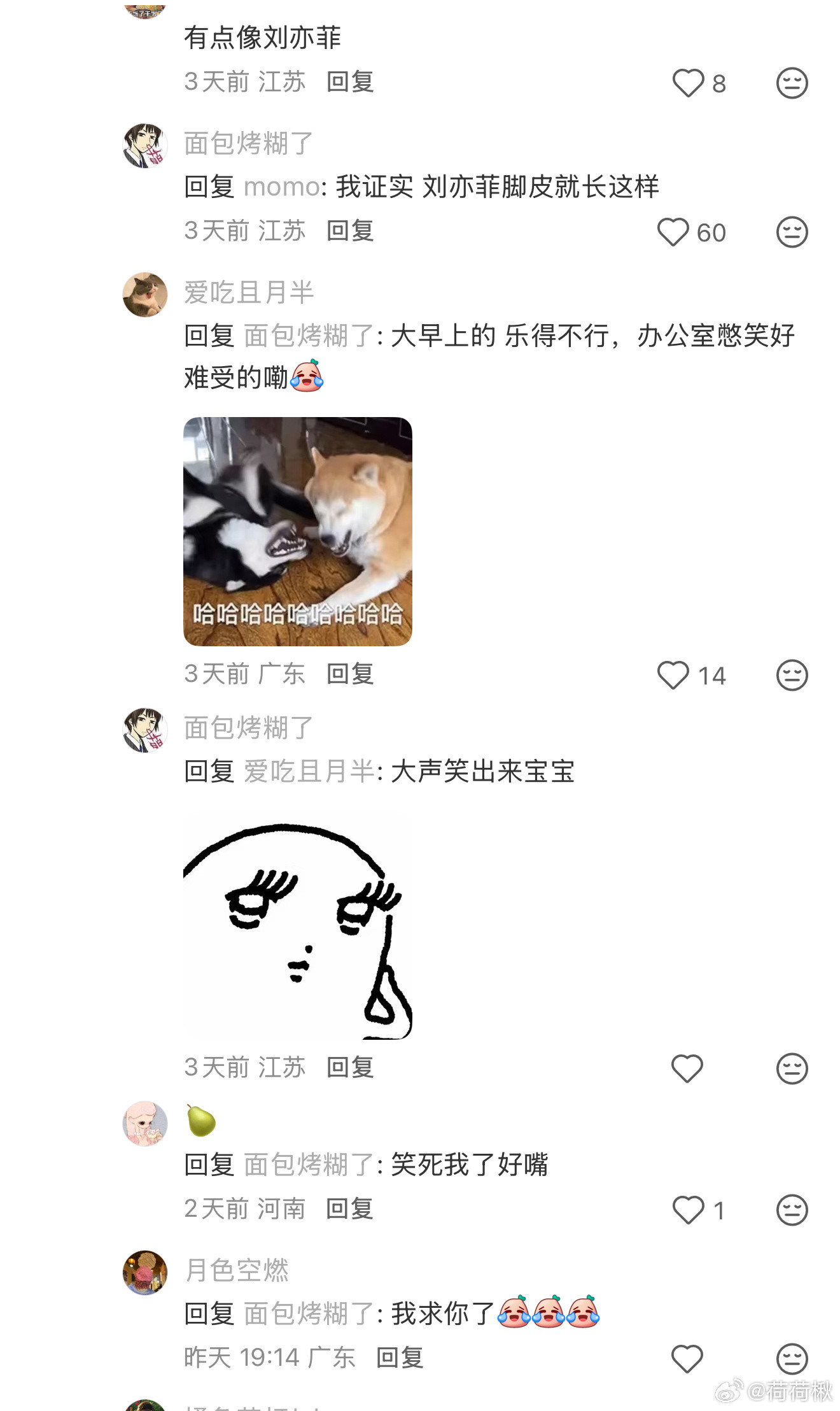 不不不，刘亦菲家的猫屁股长这样还差不多哈哈哈哈哈😂