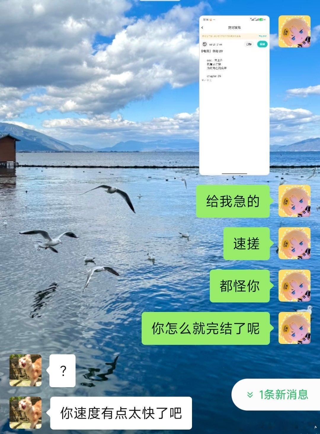 什么猫酱完结了给我急的