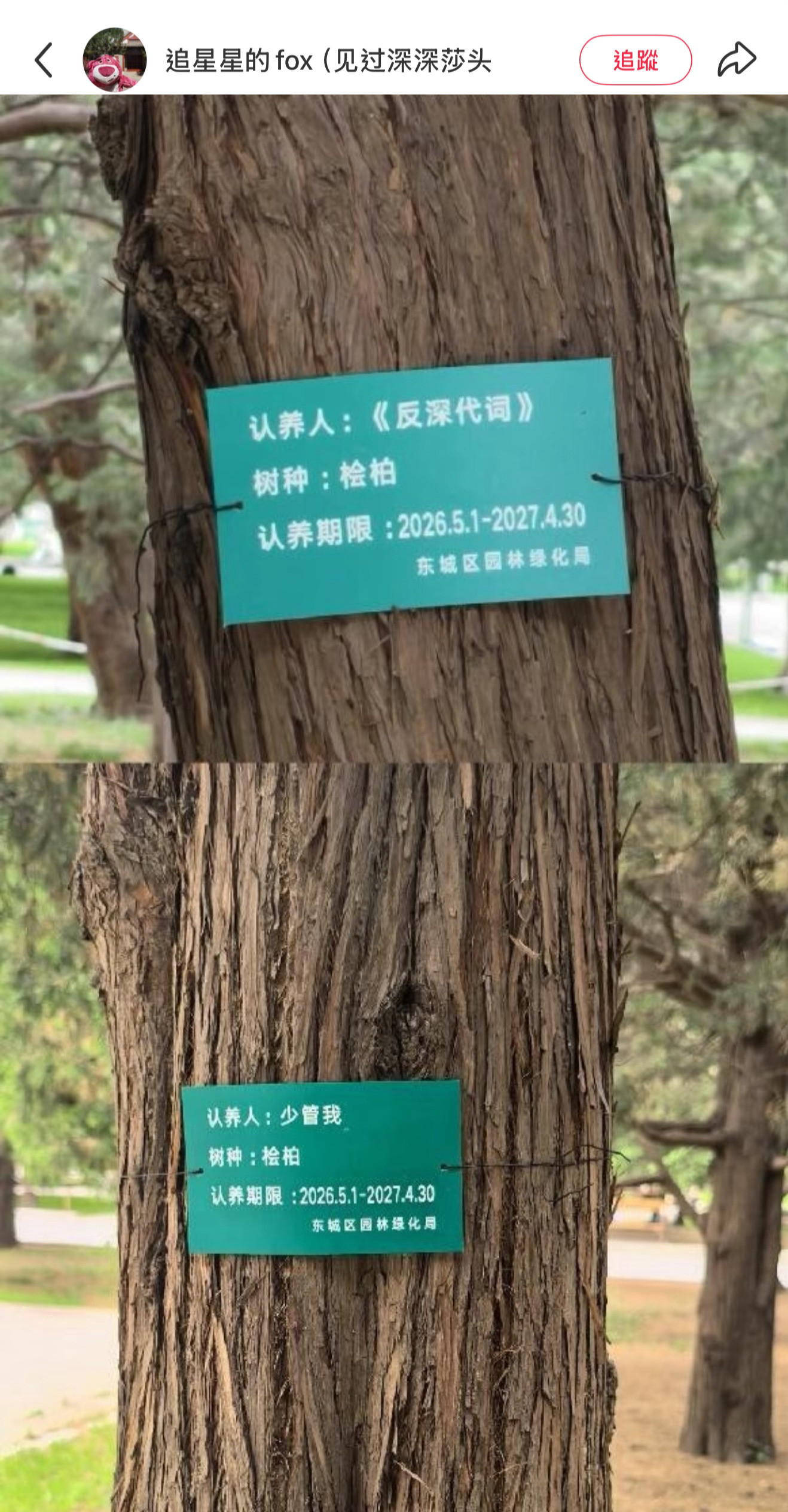 周深反深代词实体专辑刷到米姐的分享才知道地壇還有很多周深相關的樹《反深代詞》