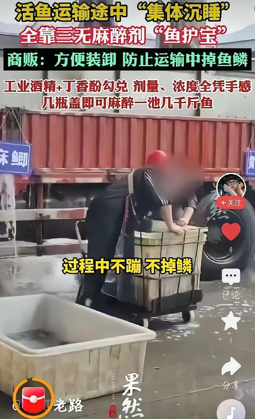 吃鱼的，估计想掀桌的心都有了！重庆、山东、安徽的水产市场里，商贩往鱼桶加瓶“鱼