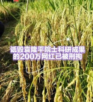 刑事拘留和行政拘留差多大？杨某这回摊上啥事了？6月29日，沈阳市公安局苏家屯分