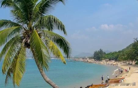 那些说XX地方比海南更适合康养避寒的视频满天飞，全是骗人的。中国最适宜避寒、康