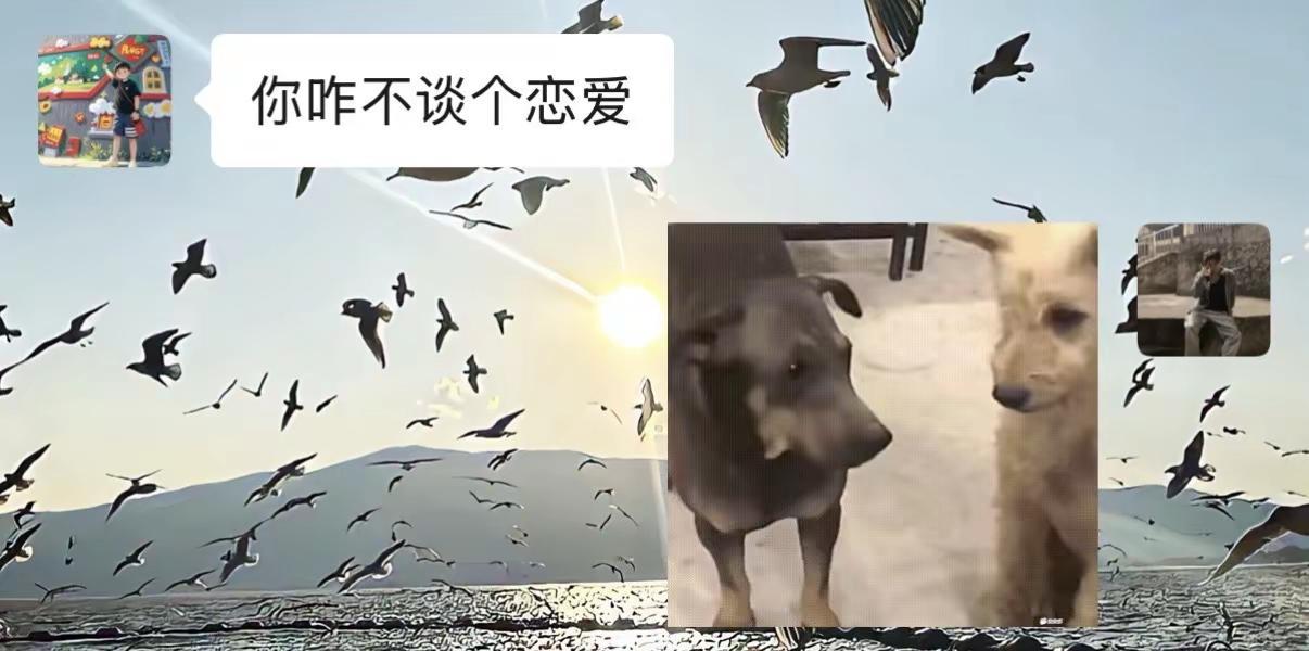 你咋不谈个恋爱