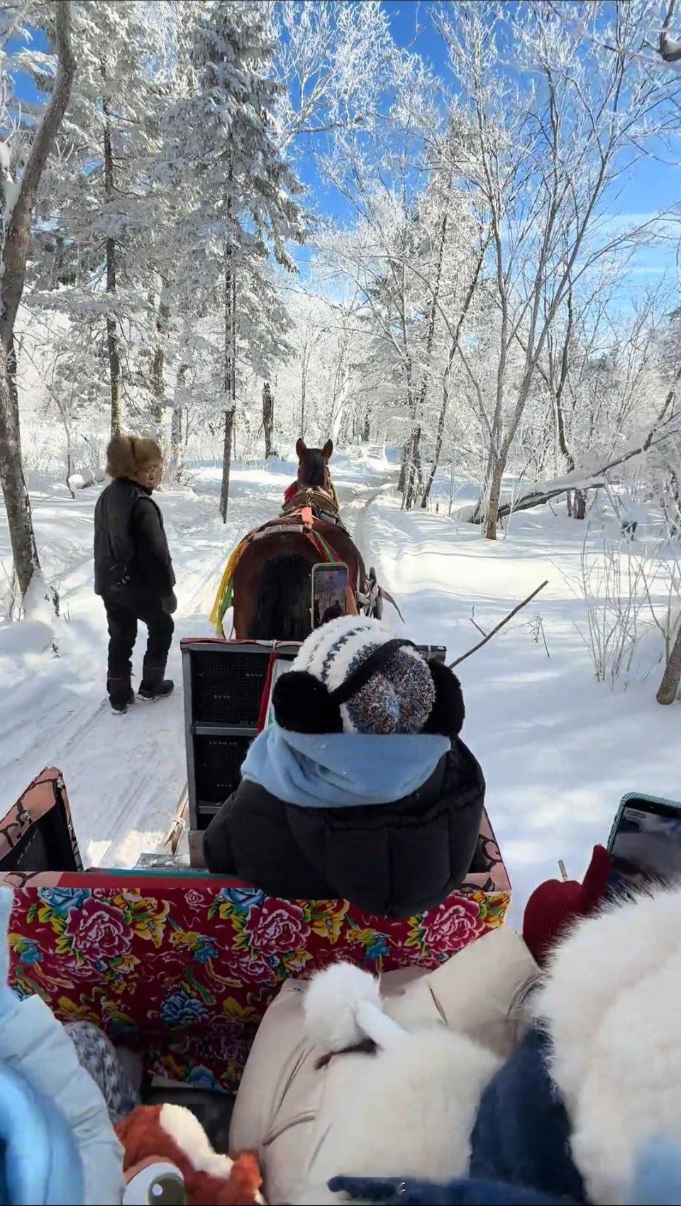戛纳获奖她把家乡哈尔滨搬上银幕最冷的哈尔滨拍出了最热的电影哈尔滨，这座被誉为“冰