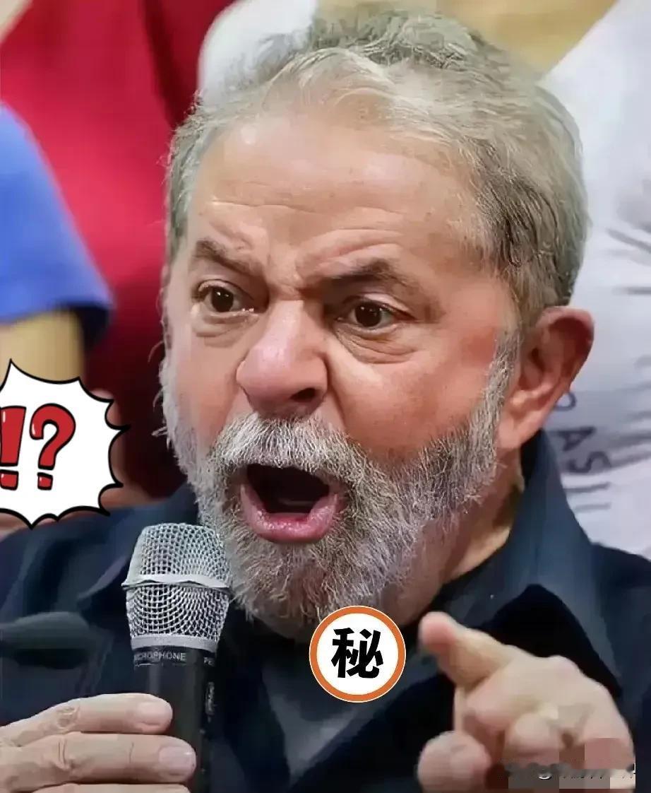 巴西对华消息！2025年12月5日，巴西外贸委员会管理执行委员会（GECEX）