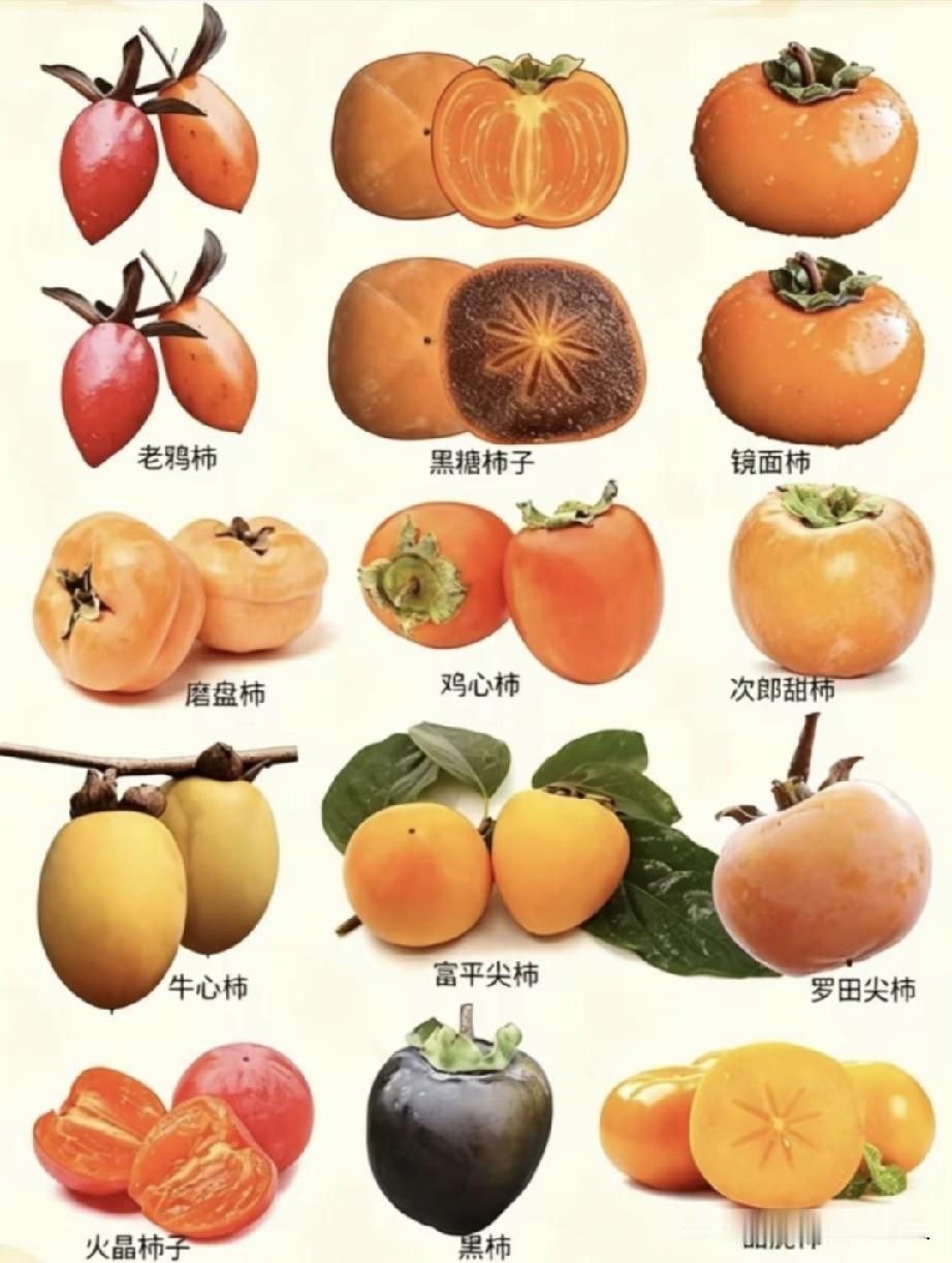 柿柿如意，心想柿成。