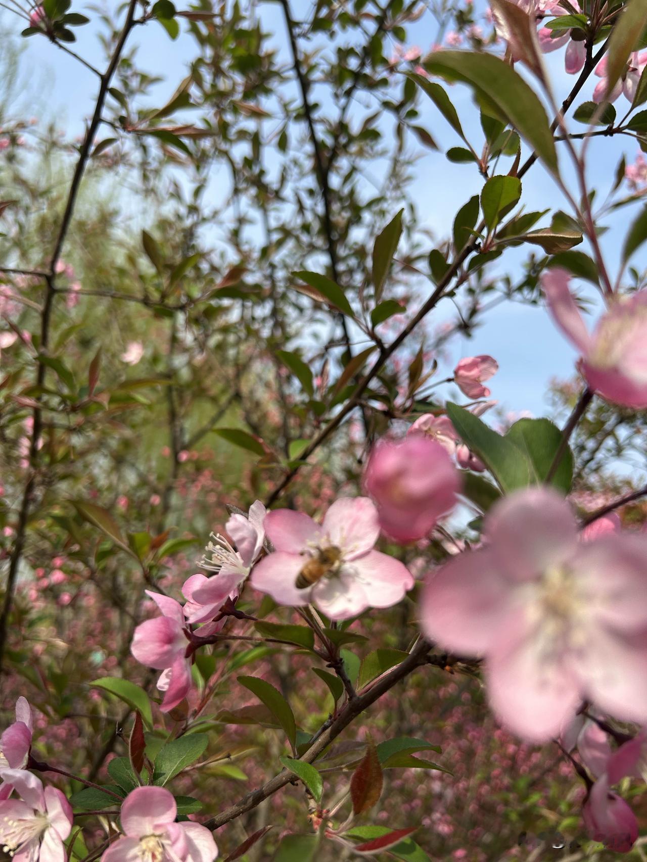 我是一退休老阿姨喜欢独来独往一个人宅在家里，早上弄点简餐鸡蛋两个麦片一