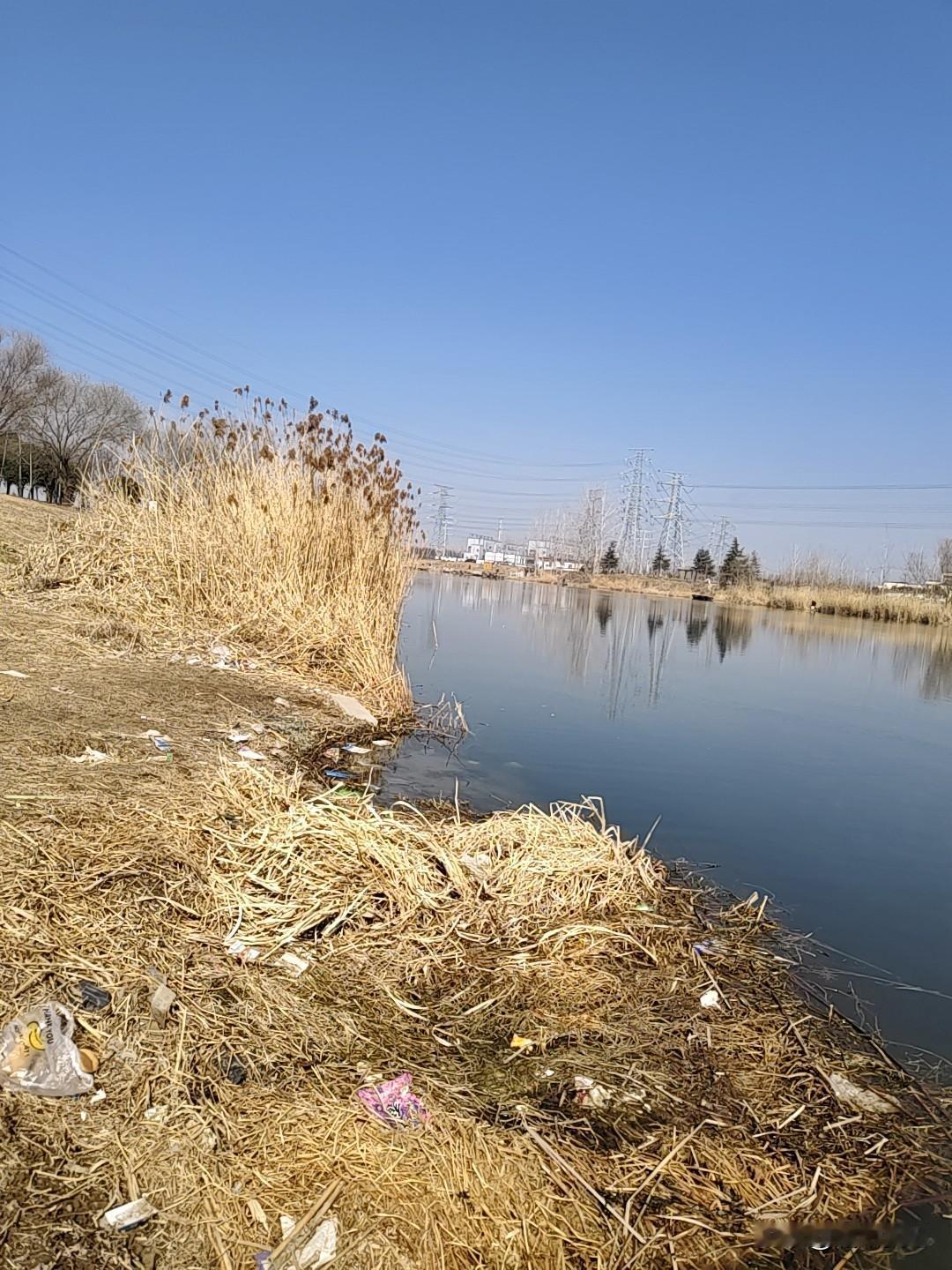 晒图笔记大赛实拍宿迁古黄河，以前黄河走的江苏，不是现在的山东，难以想象