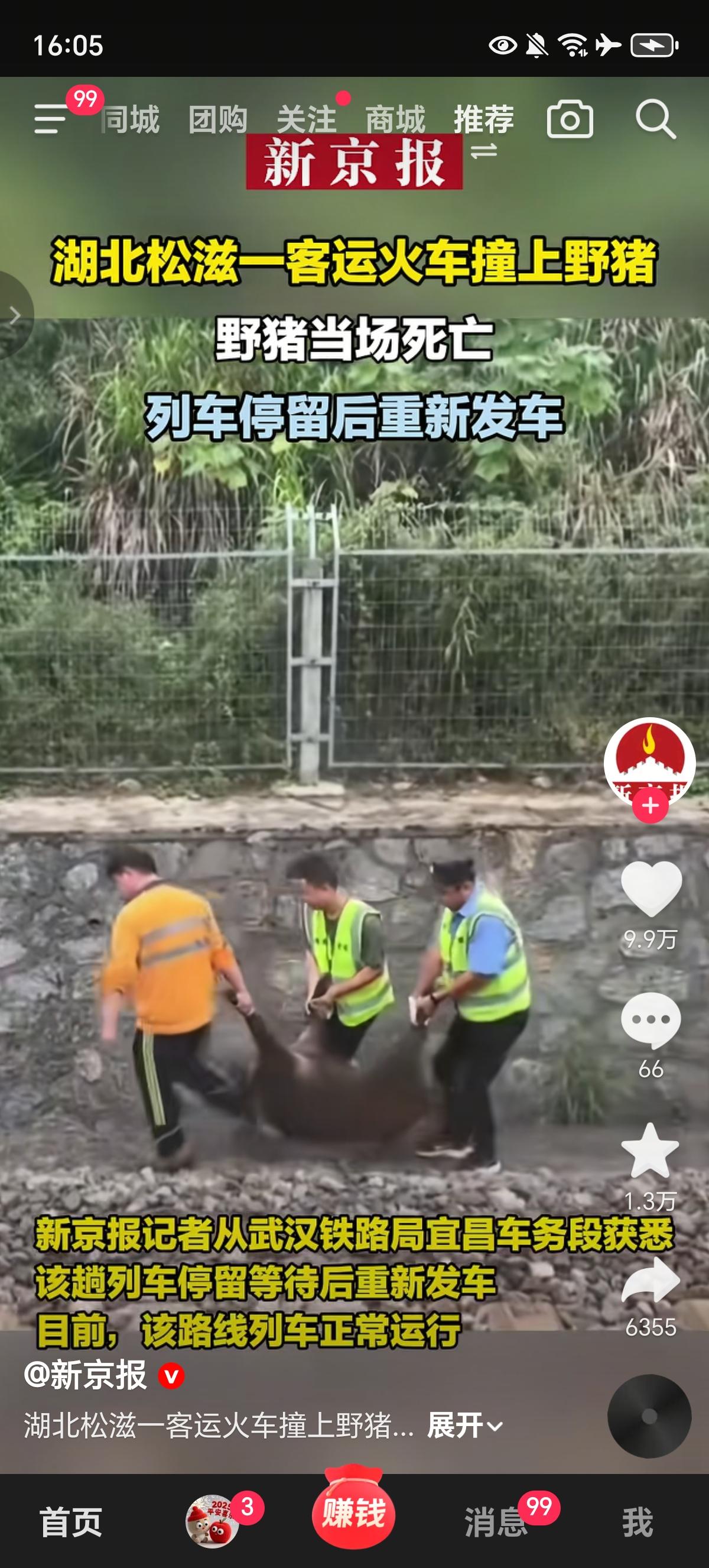 湖北省松滋市一辆货运火车撞上了一头咬坏防护栅栏闯入轨道的野猪相撞，野猪当场被撞死