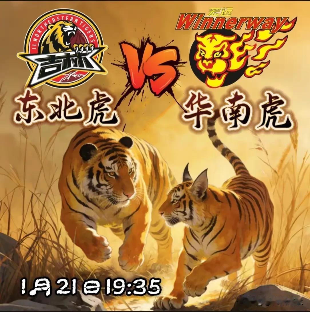 广东与吉林，华南虎与东北虎，谁是虎王？事实证明，广东华南虎的虎王是徐杰，毫无争