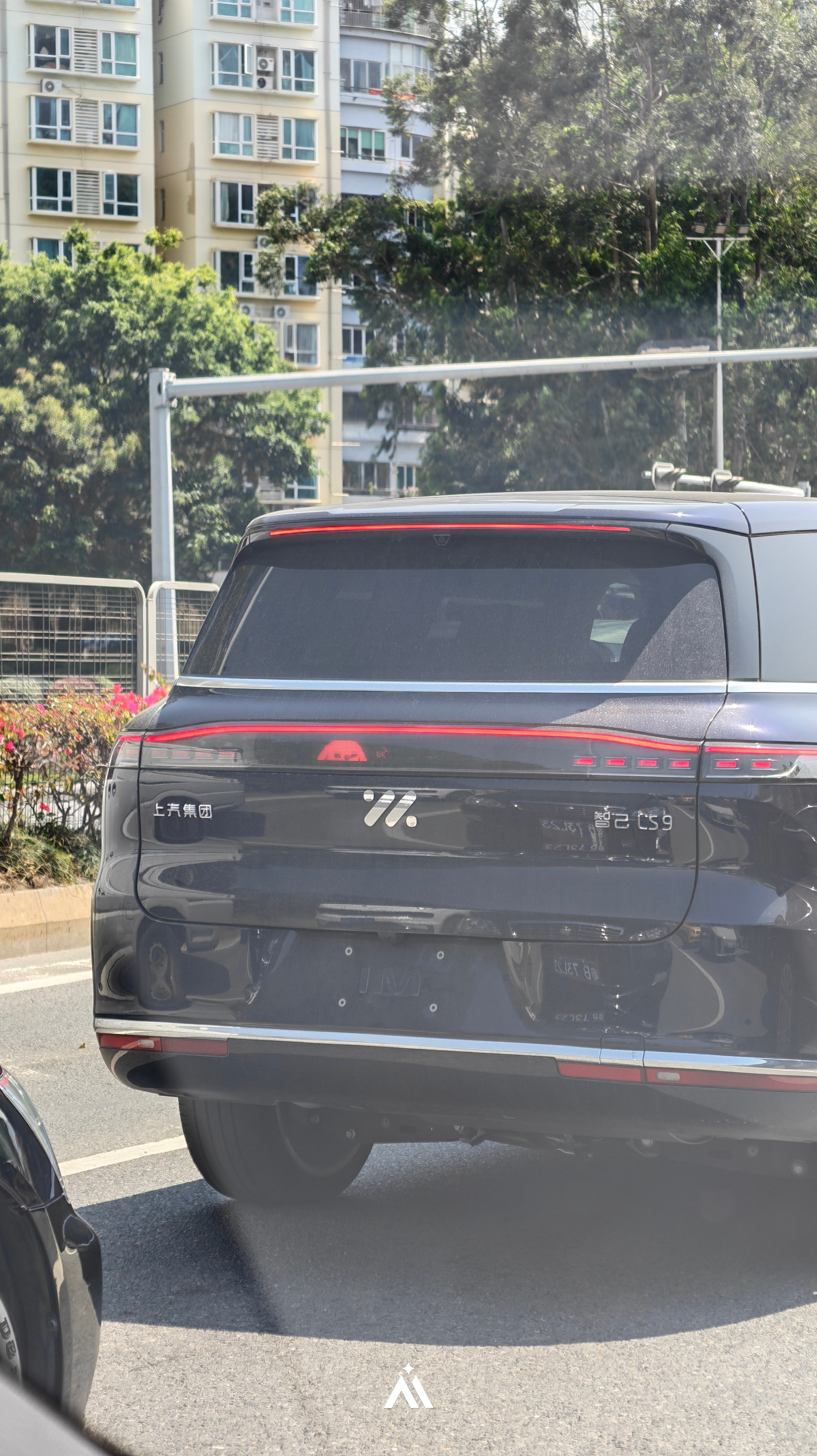 哎呀，还选了大饼轮子，可以的深圳·山姆会员商店(前海店)