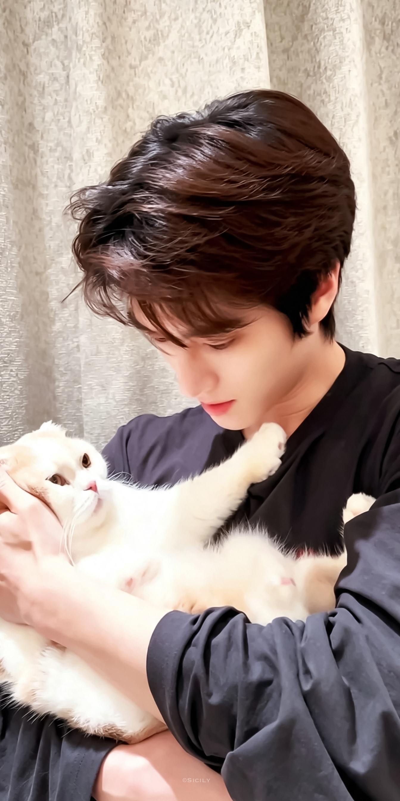 想和你养只猫猫🐱张康乐