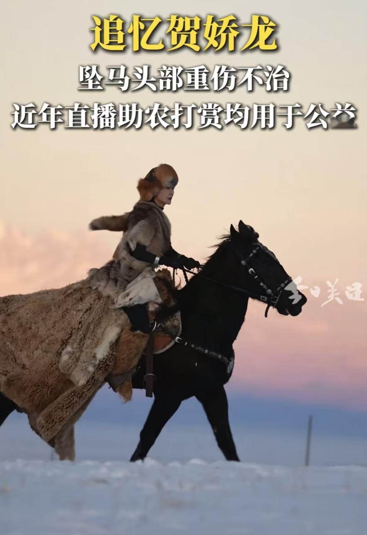 贺娇龙走了，她的家庭背景被网友扒了出来，果然不简单！她的们一家子压根不是土生